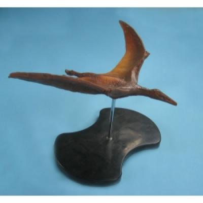  Pterodactyl Model