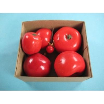 Tomatom Model Suite