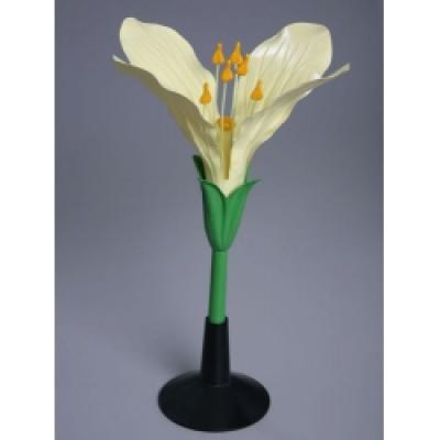      Product Name:  Flower 117 Models(8 kinds)     Model NO.:  BM011 Plastic Cabbage flower model mounted on a base. 