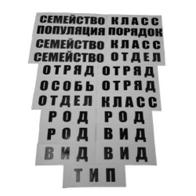 Применение модели 