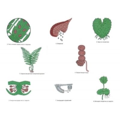 Копирование магнитной демо - карты Ferns