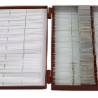 1620 -Set of Microscope Slides on Zoology