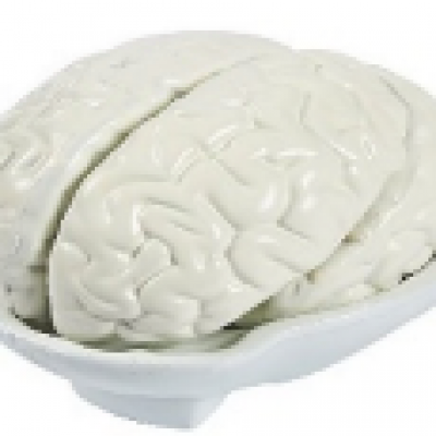 1637 - Brain Model