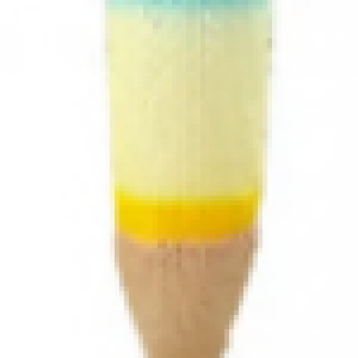 1641 - Model of Longitudinal Section of a Root